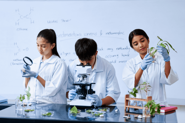 Illustration for 9th grade at Radiant High School